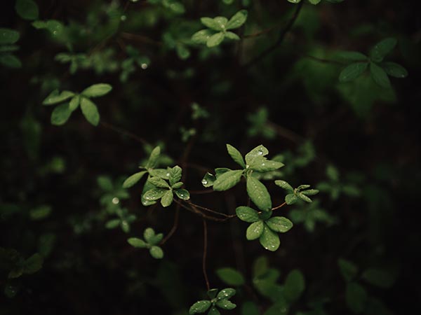 ben karpinski uR pNOruRPk unsplash directoriopuntacana.com