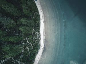 robert bahn 1370575 unsplash directoriopuntacana.com