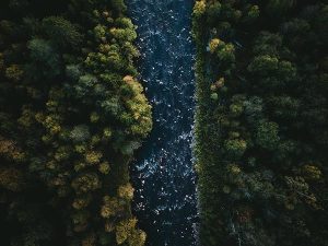 tom ohlin FeXfDfmxNmU unsplash directoriopuntacana.com
