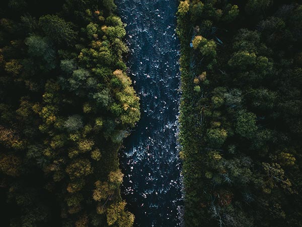 tom ohlin FeXfDfmxNmU unsplash directoriopuntacana.com